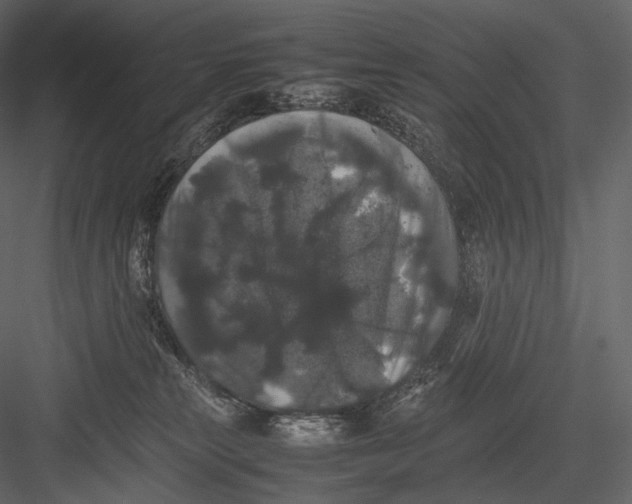 X0000082970181200702230016