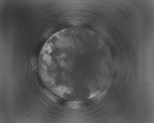 X0000082970182200702230016