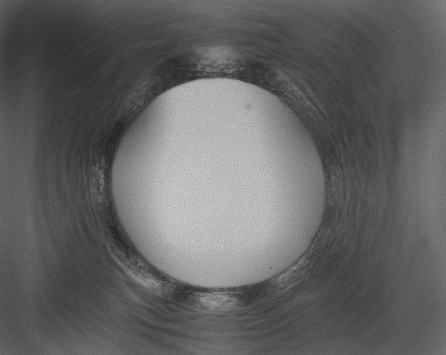 X0000082970183200702230016