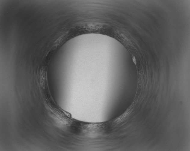 X0000082970184200702230016