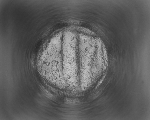 X0000082970185200702230016