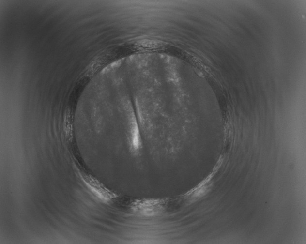 X0000082970186200702230017