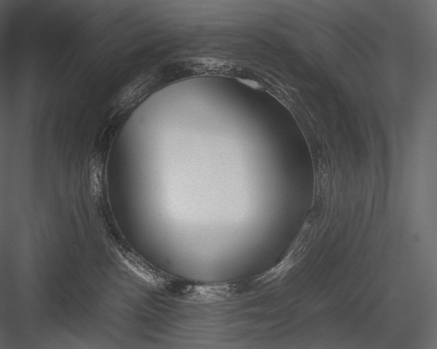 X0000082970188200702230017