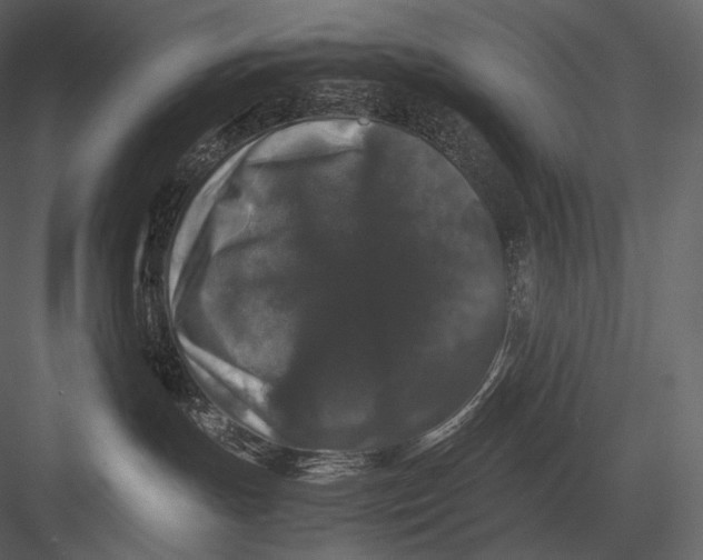 X0000082970191200702230017