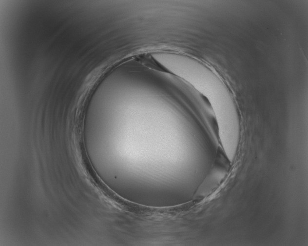 X0000082970193200702230016