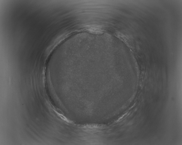 X0000082970194200702230016