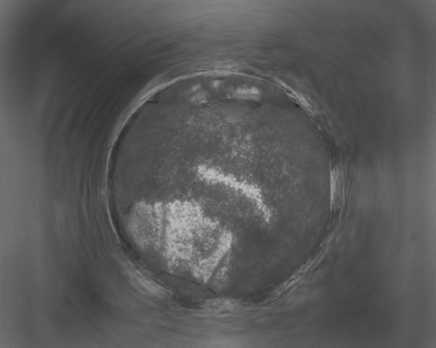 X0000082970195200702230016