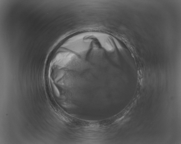 X0000082970196200702230016