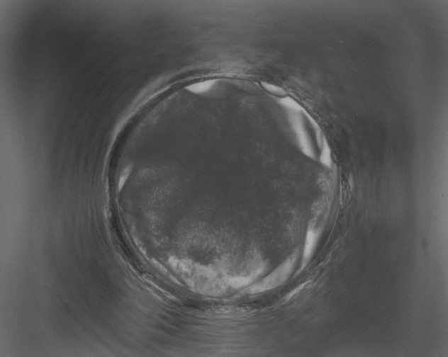 X0000082970198200702230016