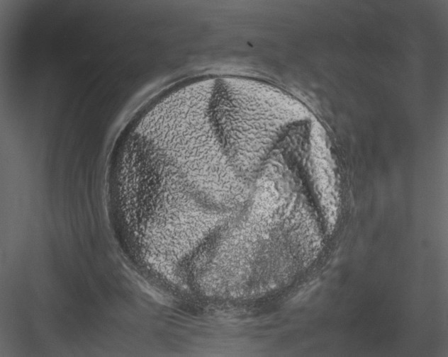 X0000082970199200702230016