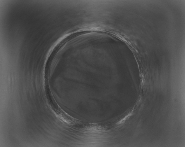 X0000082970200200702230016