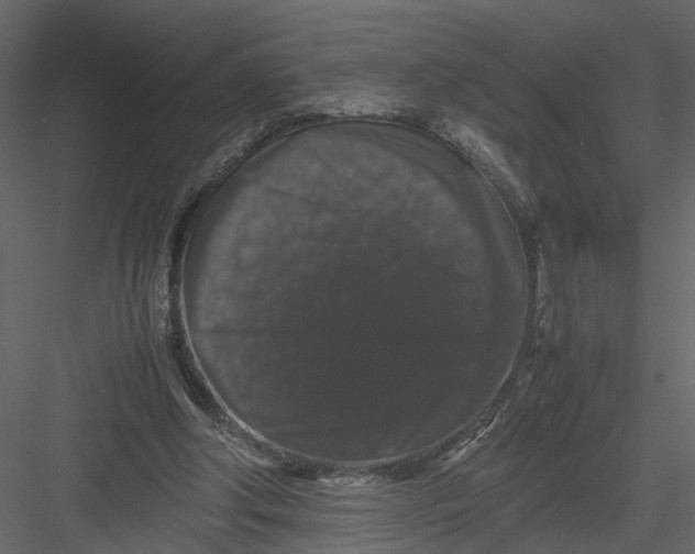 X0000082970202200702230016