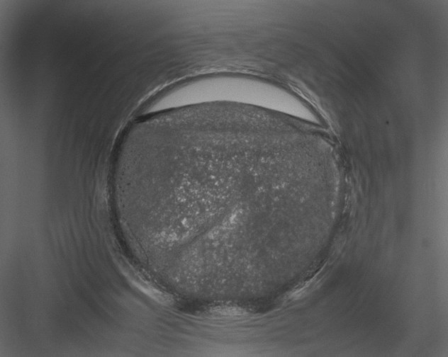 X0000082970203200702230016