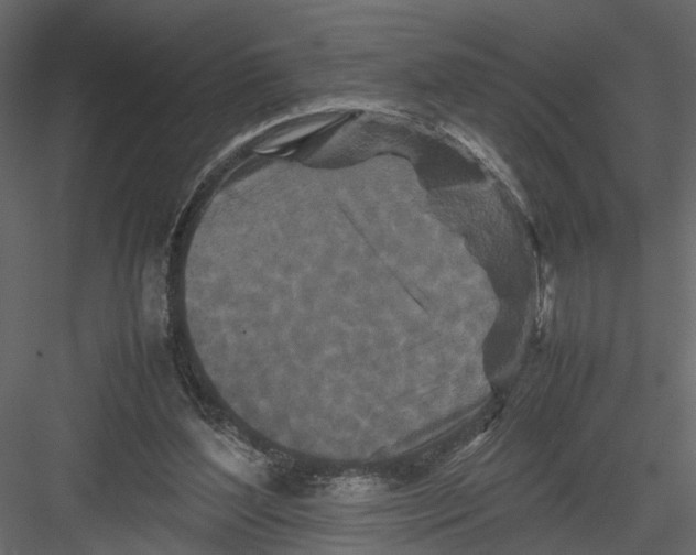 X0000082970204200702230016