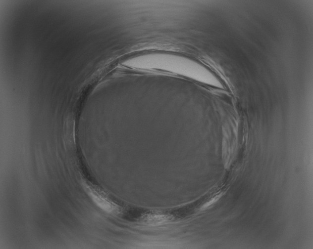 X0000082970205200702230016