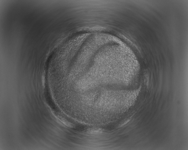 X0000082970206200702230016