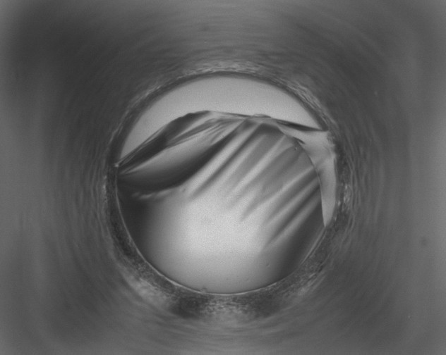 X0000082970207200702230016