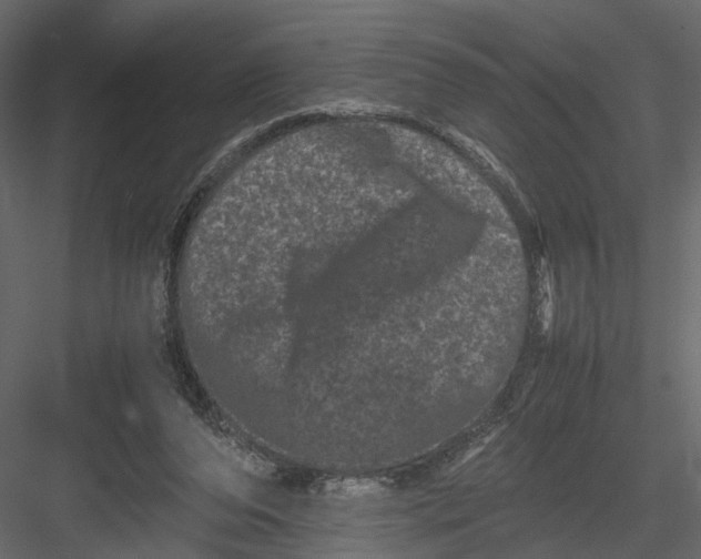 X0000082970208200702230016