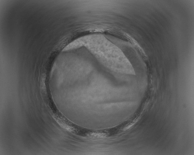 X0000082970209200702230016