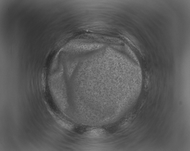 X0000082970210200702230015