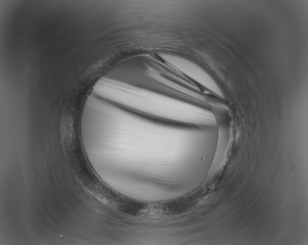 X0000082970211200702230015