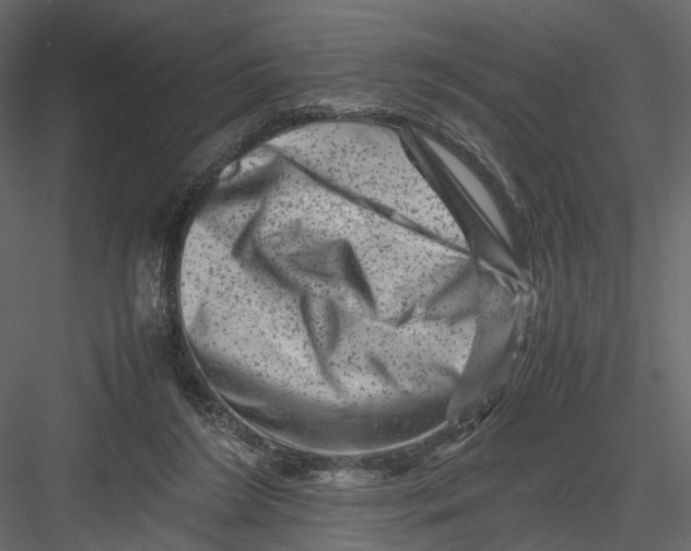 X0000082970212200702230015