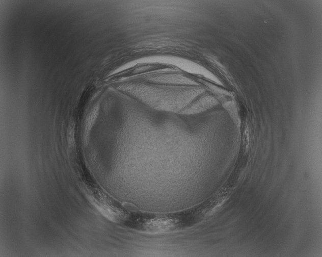 X0000082970213200702230015