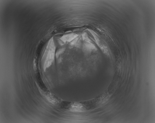 X0000082970214200702230015