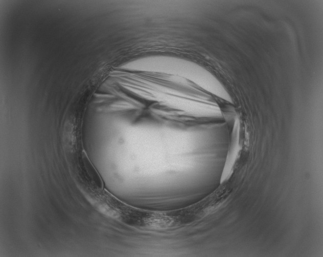 X0000082970215200702230015