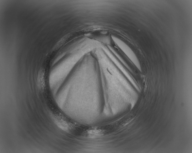 X0000082970216200702230015