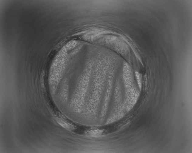 X0000082970217200702230015