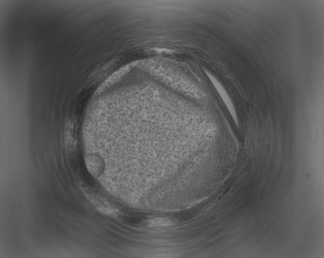 X0000082970218200702230015