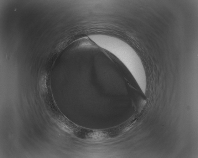 X0000082970219200702230015