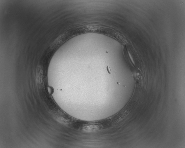 X0000082970220200702230015