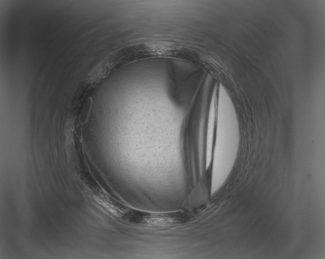 X0000082970221200702230015