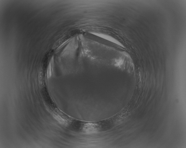 X0000082970222200702230015