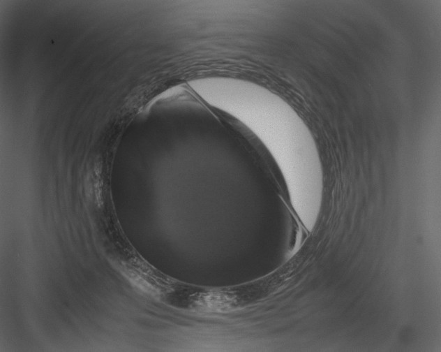 X0000082970223200702230015