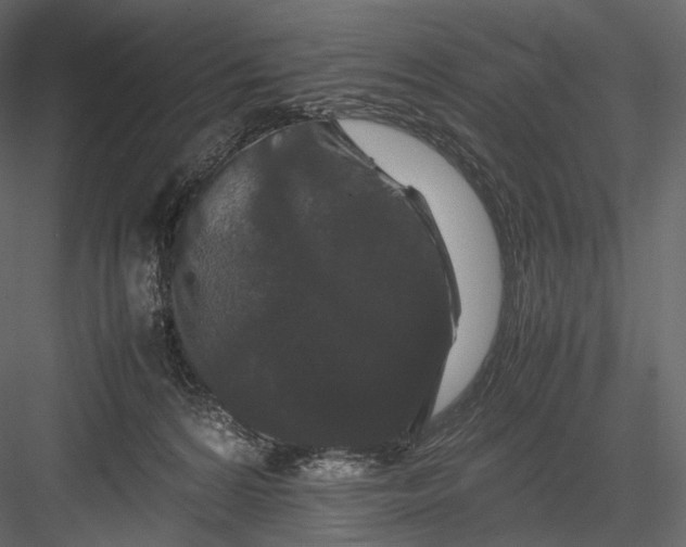 X0000082970224200702230015