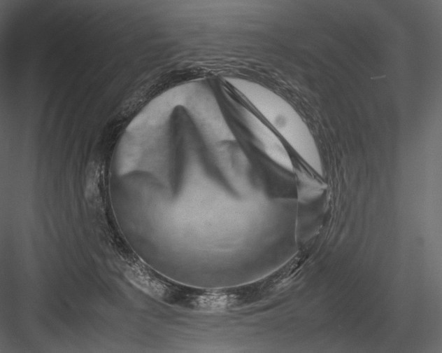 X0000082970225200702230015