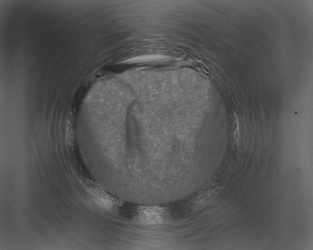 X0000082970226200702230015