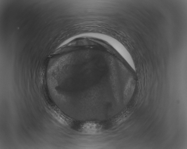 X0000082970227200702230015