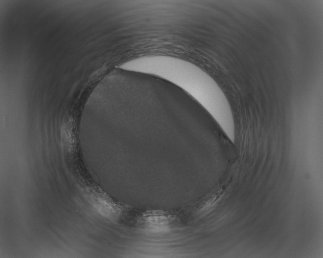 X0000082970228200702230015