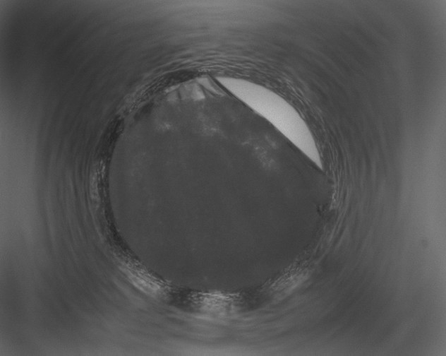 X0000082970229200702230015