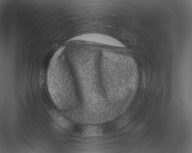 X0000082970230200702230015