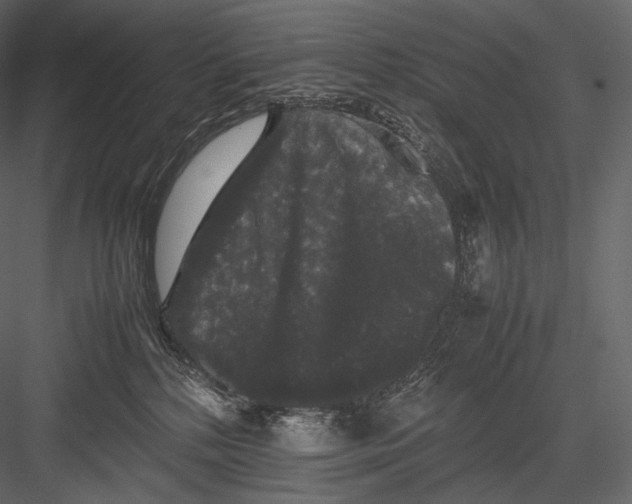 X0000082970232200702230015