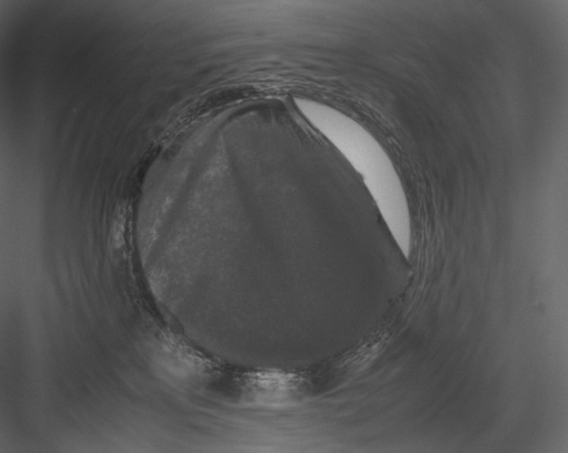 X0000082970233200702230015