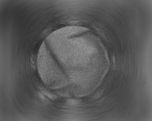 X0000082970234200702230015