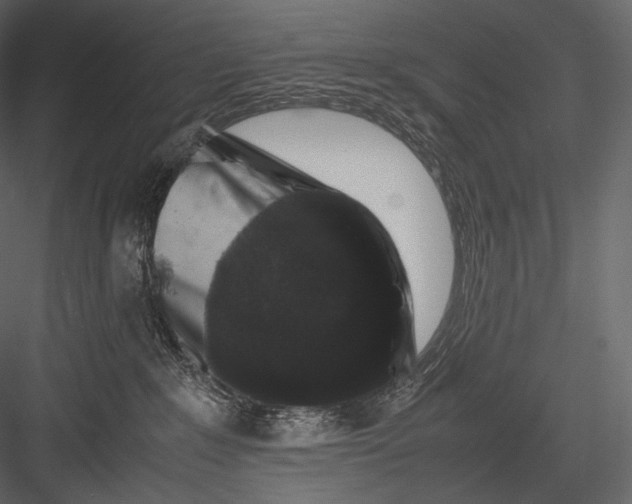 X0000082970235200702230015