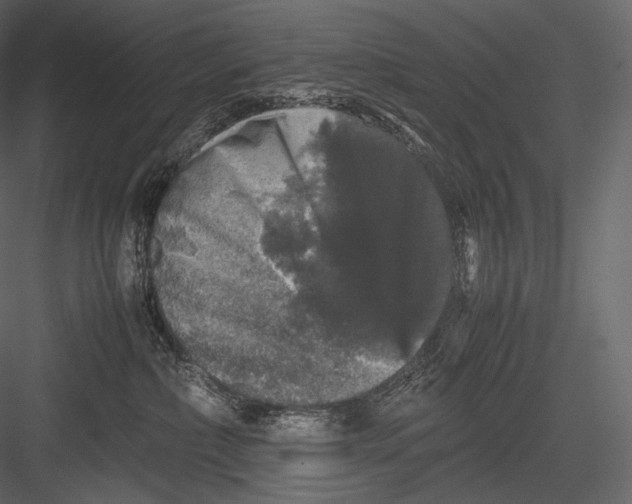 X0000082970236200702230015