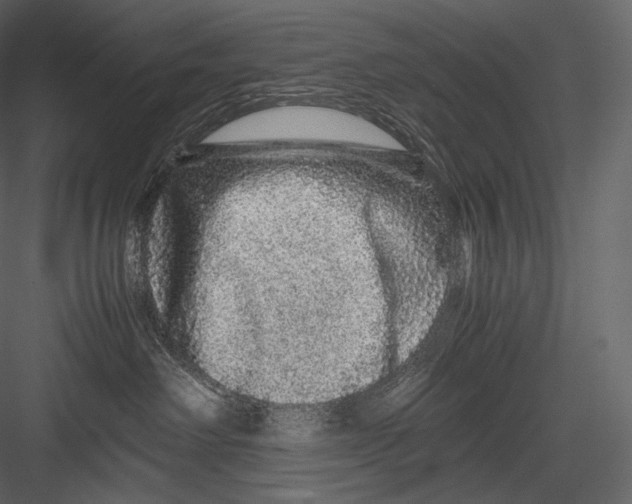 X0000082970238200702230015